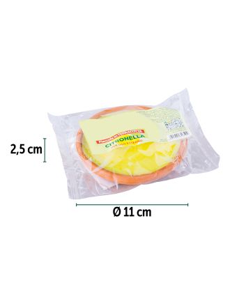 CITRONELLA IN TERRACOTTA CM11X2,5 CM GR45