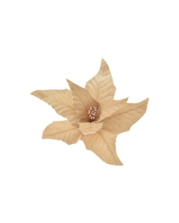 FIORE G.MEDIO M.WSF22-2100 CHAMPAGNE