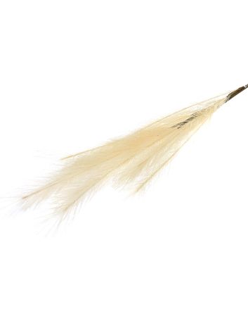 RAMO PIUMATO L80CM M.YXB120 CREMA