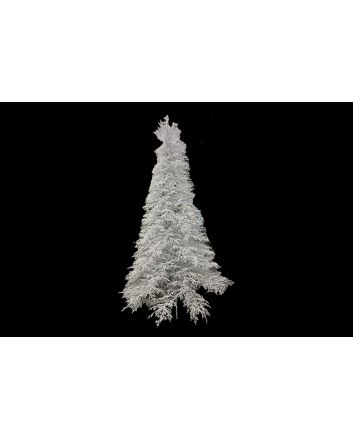 ALBERO DELHI INN.270CM 2023TPS C/950L B.CALDO