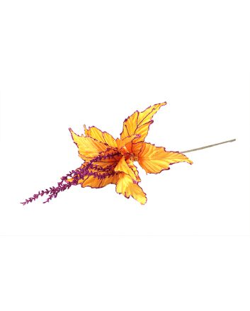 FIORE G.LUNGO M.W1-22038 ORANGE/FUXIA