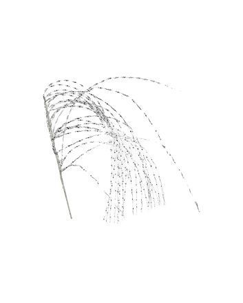 PICK GLITTERATO 125CM TYD-2024304 ARGENTO