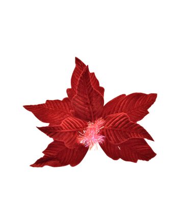 FIORE GAMBO CORTO 8P M.W1-25134 ROSSO