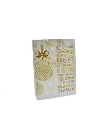 BUSTA NATALE 210GR 50X16X72CM DEC.08