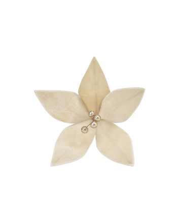 FIORE SMALL 5P M.W1-25109 CHAMPAGNE