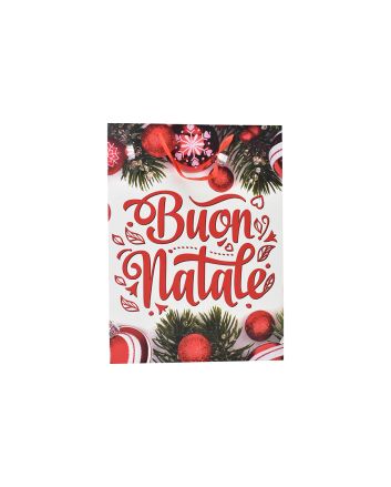 BUSTA NATALE 210GR 26.7X13.7X33 CM DEC25.11