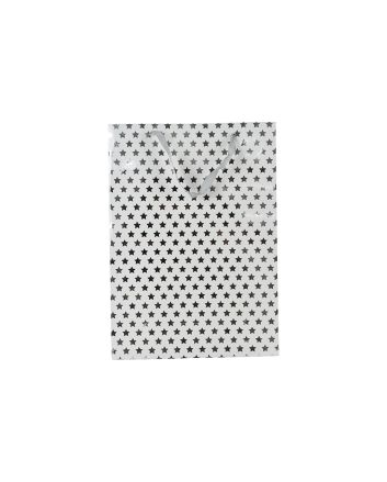 BUSTA REGALO 210G 18X24X8CM M.111 ARG.