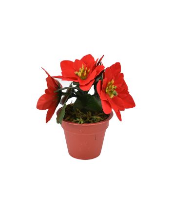 PIANTINA STELLA NATALE 13CM M.741R ROSSO