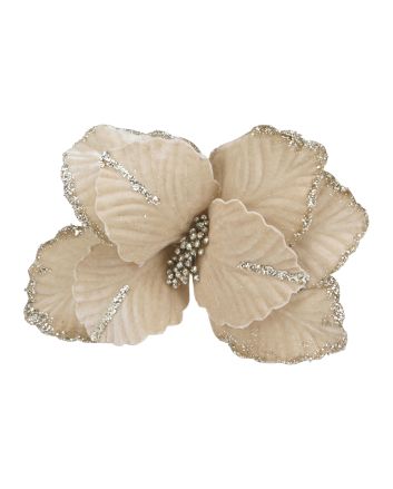 FIORE G.CORTO M.W27-252713 CHAMPAGNE