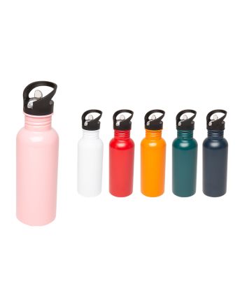 BORRACCIA ACCIAIO 750ML 6ASS