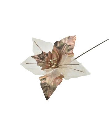 FIORE G.MEDIO M.WSF23-726 CHAMPAGNE