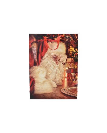 BUSTA NATALE 210GR 18X10X23CM DEC25.08