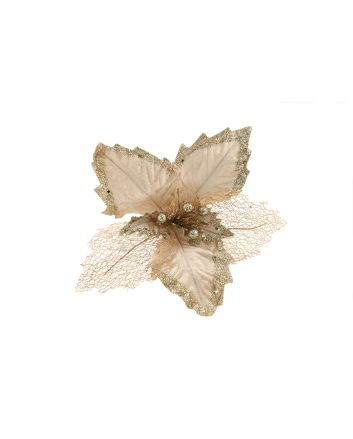 FIORE DIA:31CM M.W7-22271 CHAMPAGNE