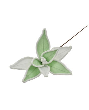 FIORE G.LUNGO 8PET M.W1-21041 TIFFANY