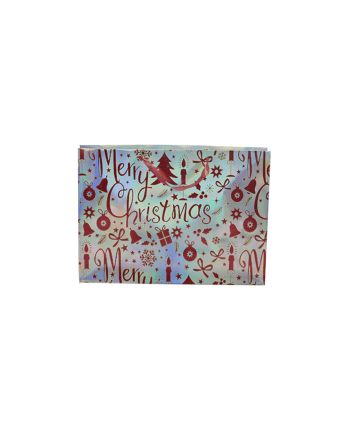 BUSTA REGALO 210G 33X10.5X45CM M.675