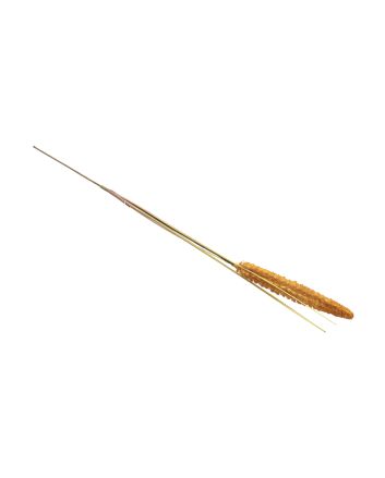 RAMO DECOR. L.63CM M.Y210124 ARANCIONE