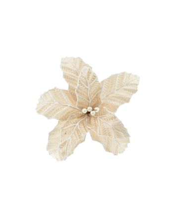 FIORE G.CORTO M.W1-240055 CHAMPAGNE