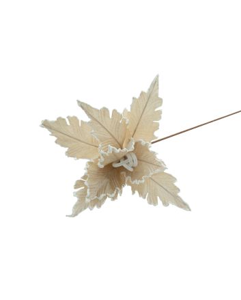 FIORE G.LUNGO M.W1-240161 CHAMPAGNE