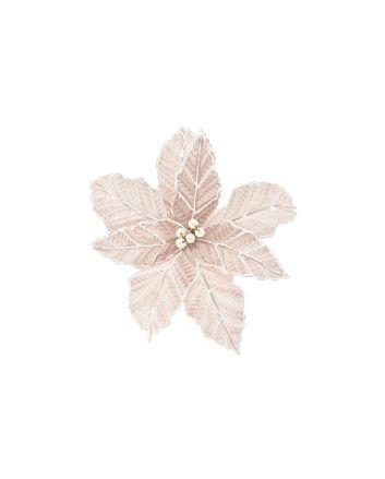 FIORE G.CORTO M.W1-240055 ROSA