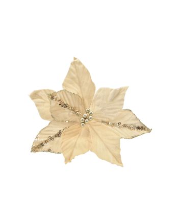 FIORE GAMBO CORTO 8P M.W1-25119 CHAMPAGNE