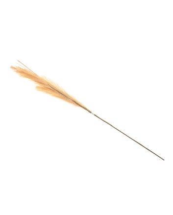 RAMO PIUMATO L.120CM M.TLY22-8 ARANCIONE