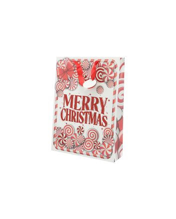 BUSTA NATALE 210GR 26.7X13.7X33 CM DES.13