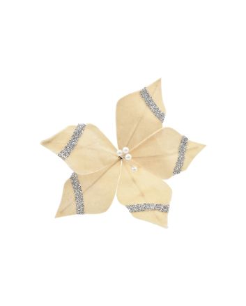 FIORE SMALL 5P M.W1-25124 CHAMPAGNE