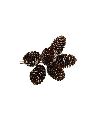 RAMO C/PIGNE 19CM TY76-9480-2 BIANCO