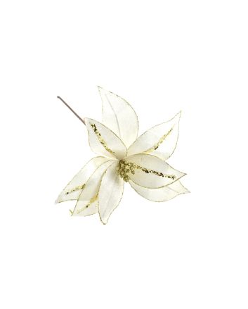 FIORE G.LUNGO M.W1-22010 PANNA/ORO