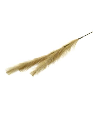 PAMPAS 103CM M.019A MARRONE