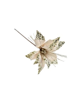 FIORE G.LUNGO M.W1-22037 CHAMPAGNE/CHAMP