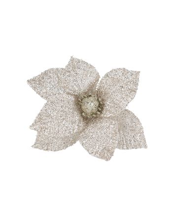 FIORE G.CORTO M.W27-252735 CHAMPAGNE