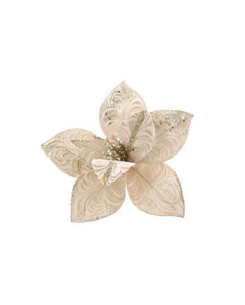 FIORE C/CLIP M.W7-22273 CHAMPAGNE