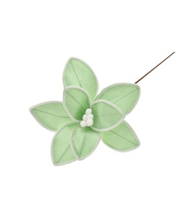 FIORE G.LUNGO 8PET M.W1-240043 TIFFANY