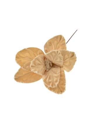 FIORE G.LUNGO 8PET M.W13-2404 CHAMPAGNE