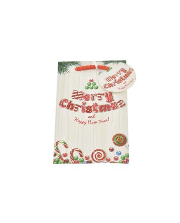 BUSTA NATALE 210GR 11X5X18CM DES.06