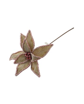 FIORE D29XL50CM GINGER/ROSSO M.213