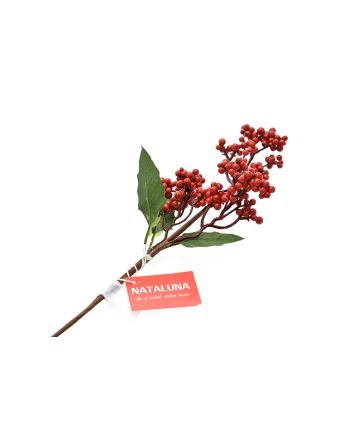 PICK BACCHE 35X20CM TYD-21048-2 ROSSO