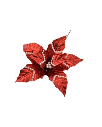 FIORE G.LUNGO 8PET M.W1-240128 ROSSO