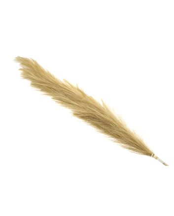 PAMPAS 123CM M.2107 MARRONE