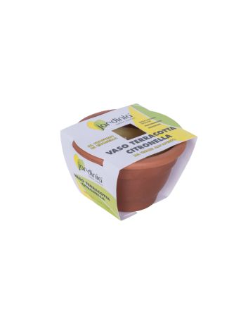 VASO IN TERRACOTTA ALLA CITRONELLA