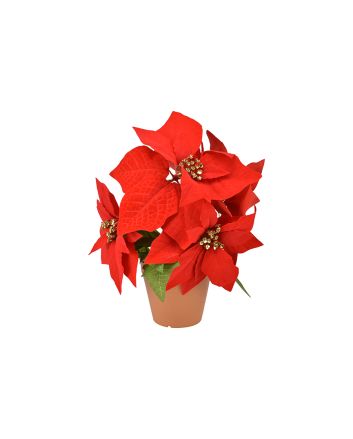 PIANTINA STELLA NATALE 32CM M.1371R ROSSO