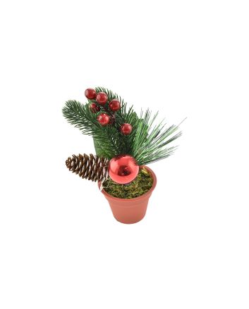 PIANTINA BACCHE E PIGNE M.XY21-145