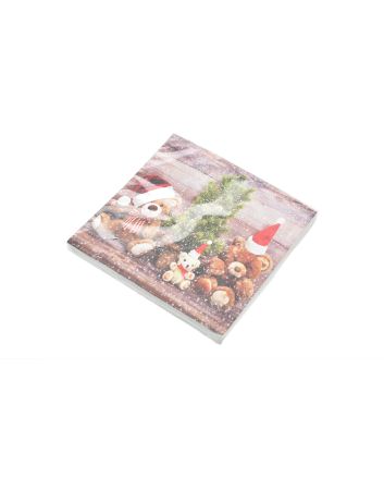 SET 20 TOVAGLIOLI 33X33CM M/USO DEC. ORSETTI