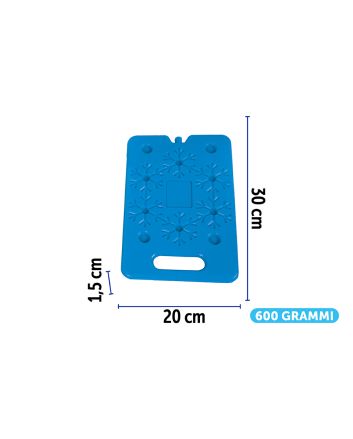 PANETTO GHIACCIO 300X200X15MM 600GR C/MANICO