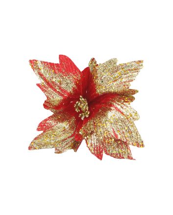 FIORE G.CORTO 5P M.W7-25718 ROSSO