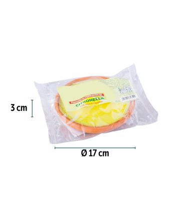 CITRONELLA IN TERRACOTTA D.17X3 CM 150GR