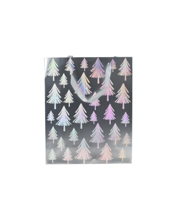 BUSTA REGALO 210G 26X32X10CM M.659 ARG.