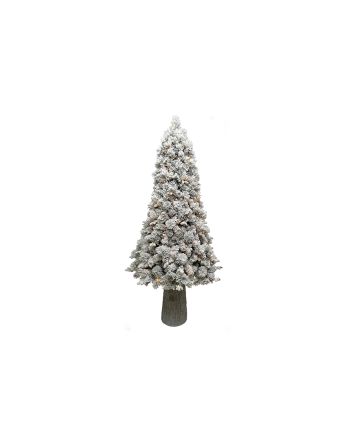 ALBERO NORVEGIA 210CM 1158TPS B.TRONC 210L WW