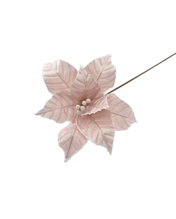 FIORE G.LUNGO 8PET M.W1-240034 ROSA